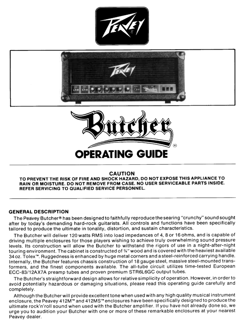 Peavey Butcher User manual