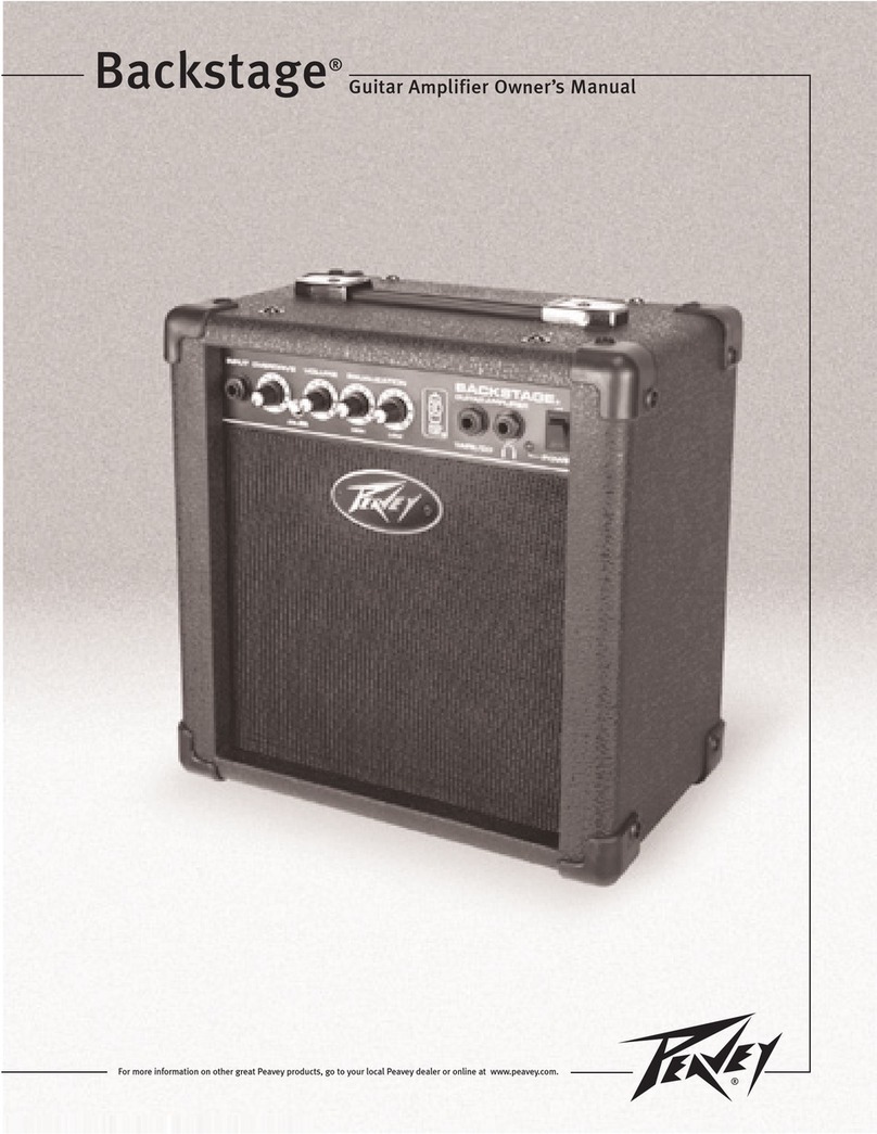 Peavey Backstage backstage User manual