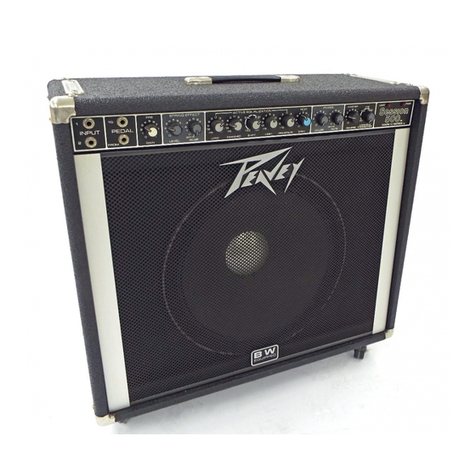 Peavey Session 500 User manual