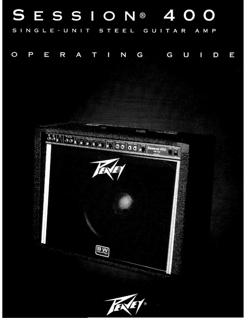 Peavey Session 400 User manual