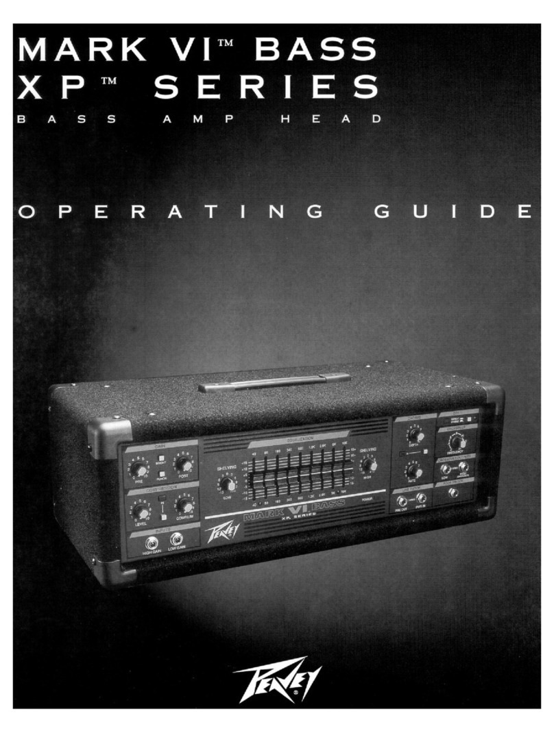 Peavey Mark VI Bass XP Series User manual