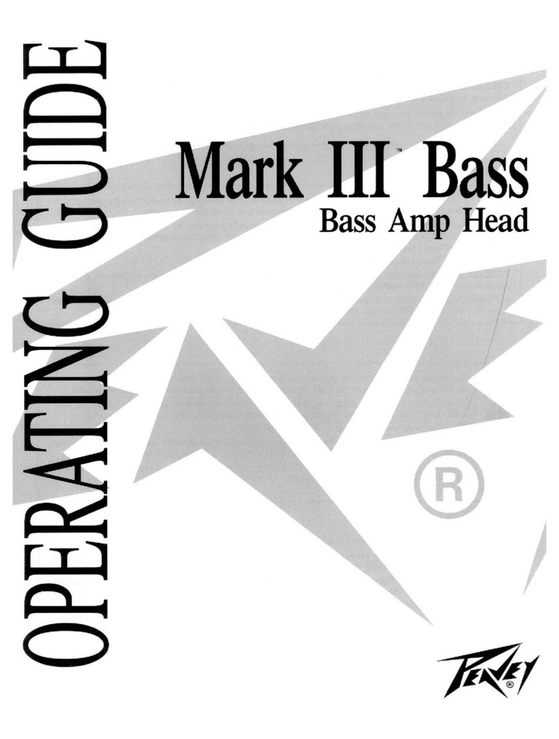 Peavey Mark III 300 CHS User manual