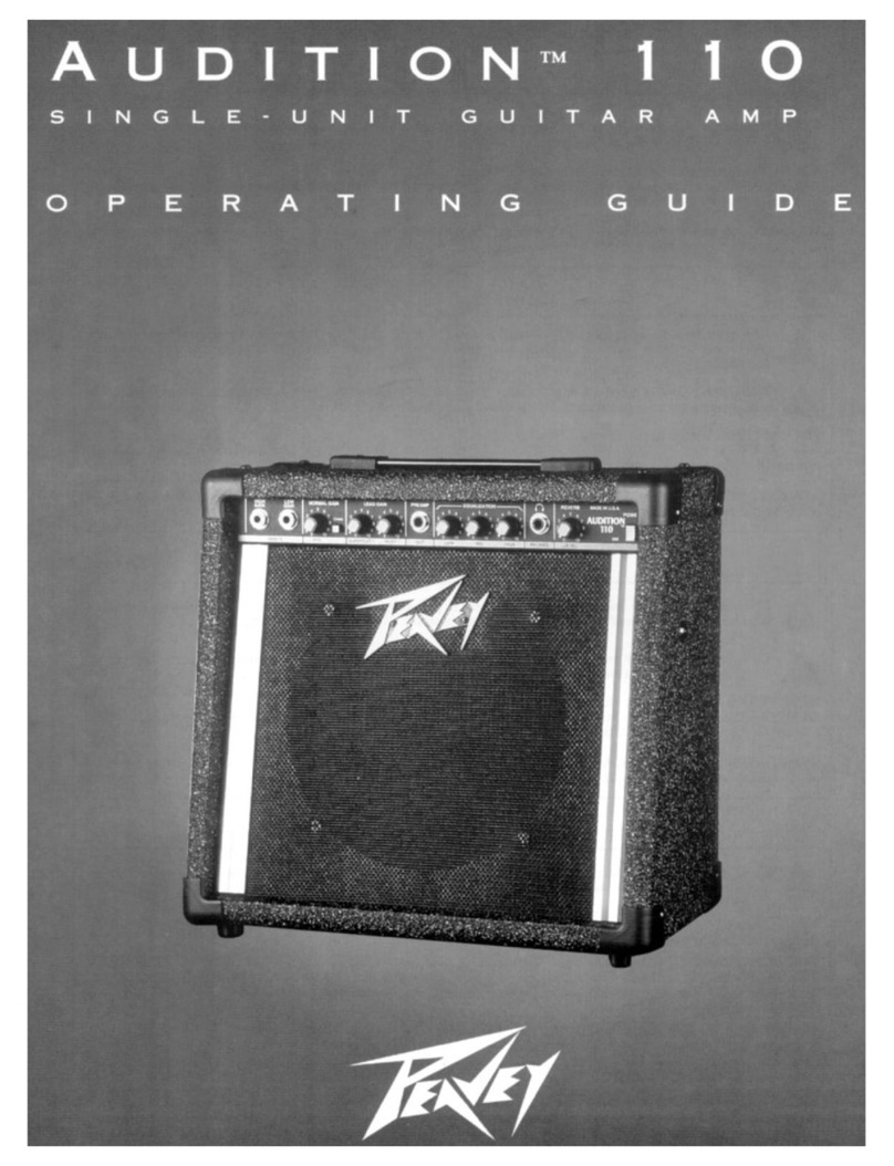 Peavey Audition 110 User manual