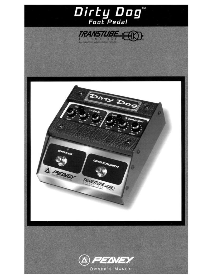 Peavey Dirty Dog owner's manual