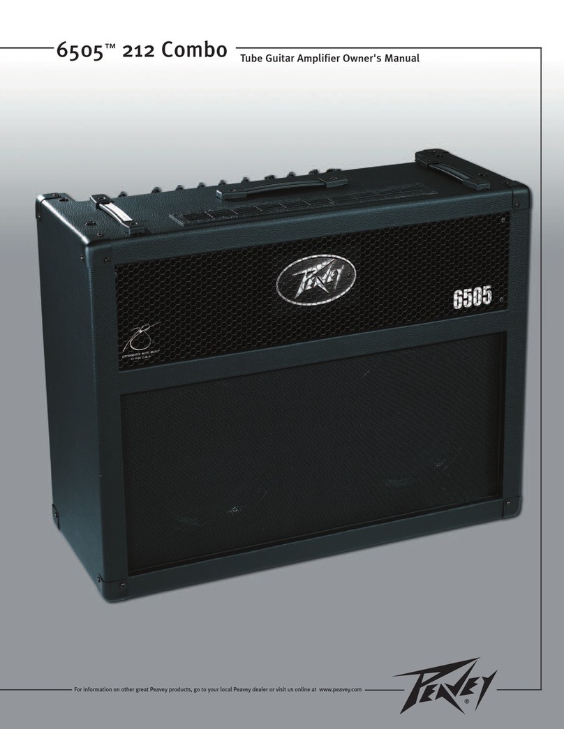 Peavey 6505 212 Combo User manual