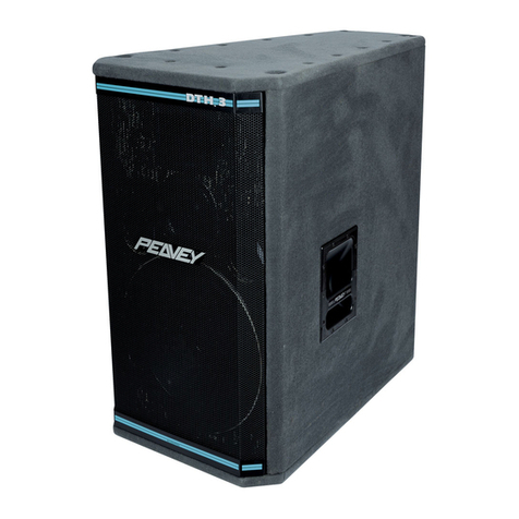 Peavey VB -3 User manual