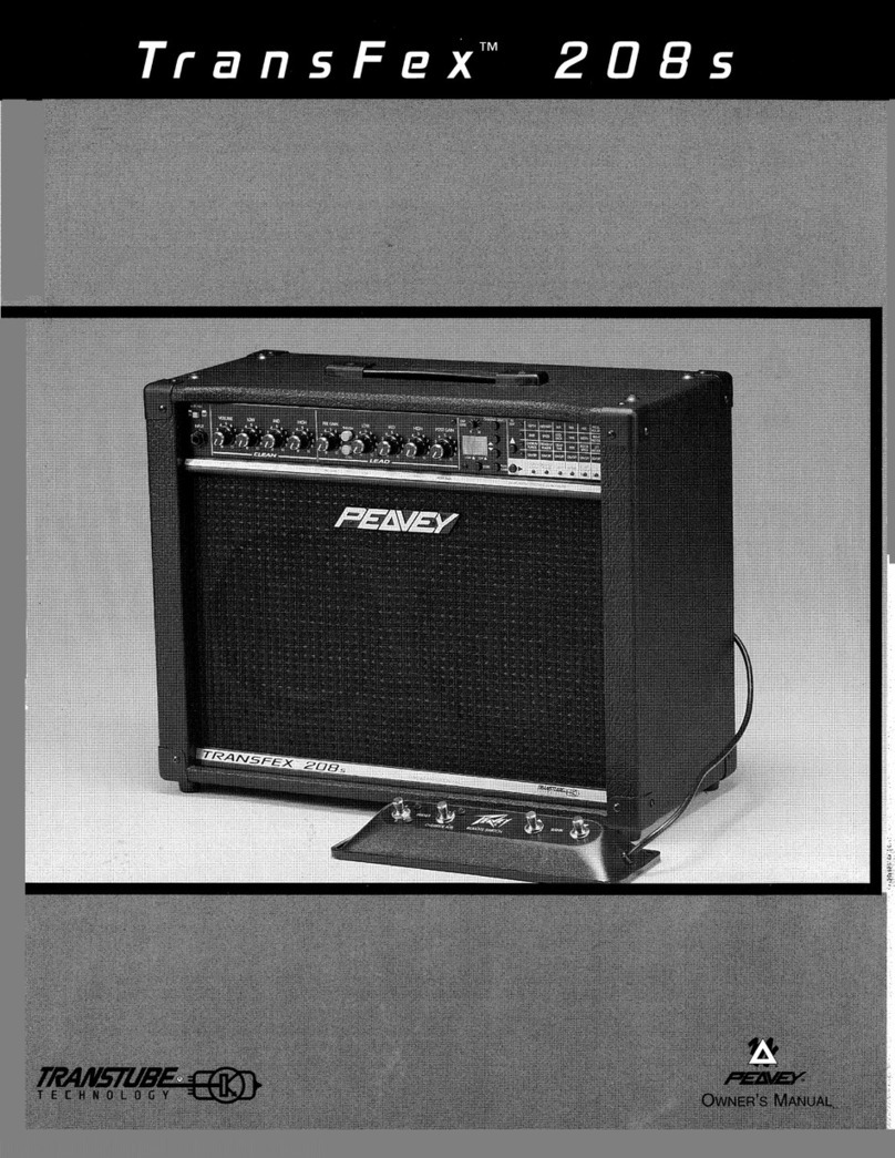 Peavey TransFex 208s User manual