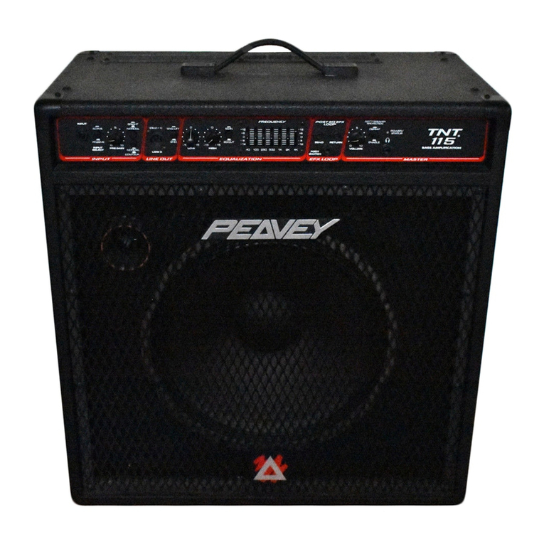 Peavey Tour TNT 115 User manual