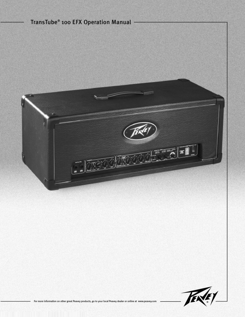Peavey Transtube Series 100 EFX User manual
