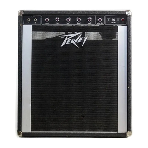 Peavey TNT 100 User manual