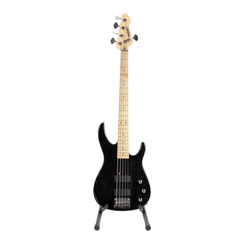 Peavey Foundation 5 User manual