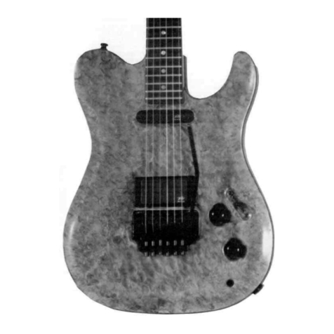 Peavey Generation Custom User manual