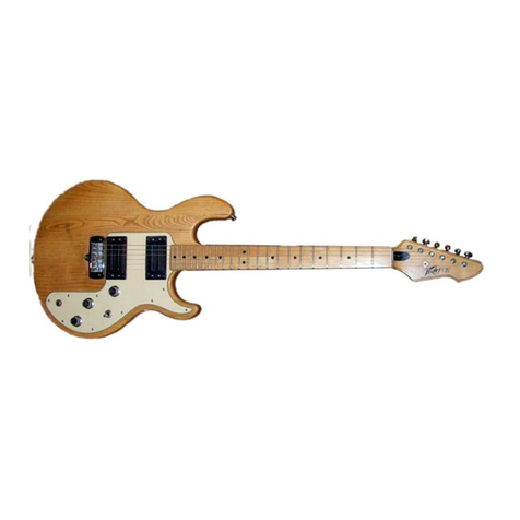 Peavey T-25 User manual Peavey T-25 User manual