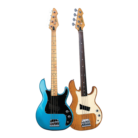 Peavey T-20 owner's manual