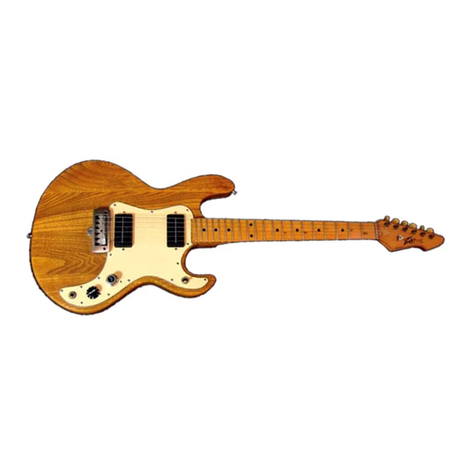 Peavey T-15 User manual