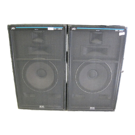 Peavey DS DS-1803 User manual