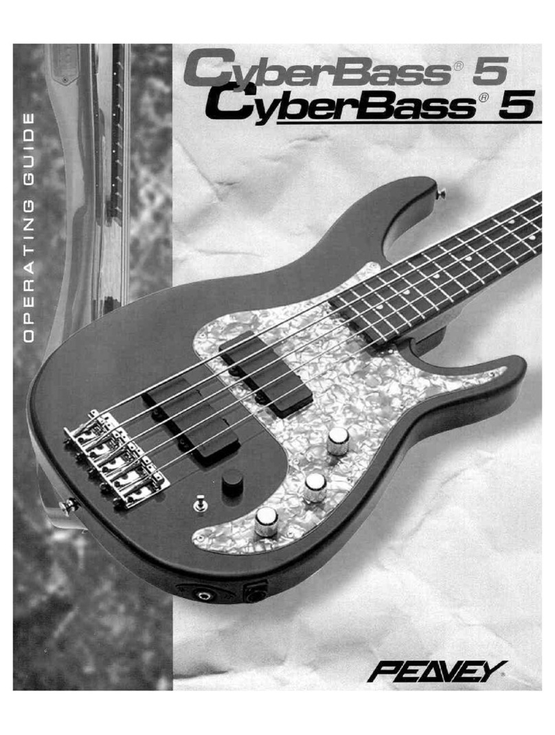 Peavey Cyberbass 5 User manual