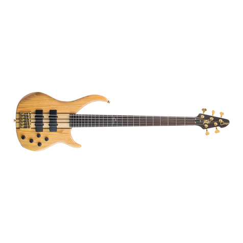Peavey Cirrus User manual