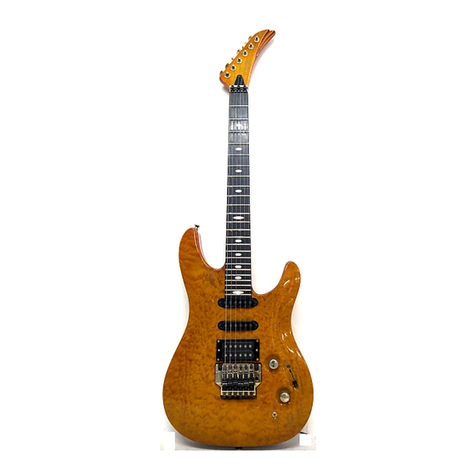Peavey Destiny Custom User manual Peavey Destiny Custom User manual