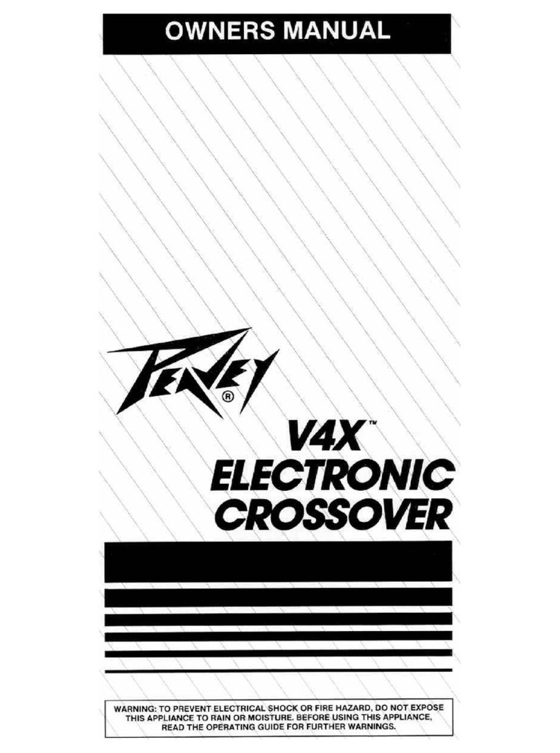 Peavey V4X User manual