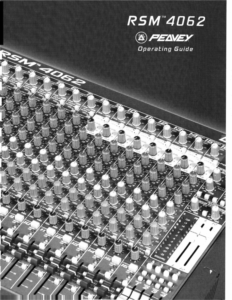 Peavey RSM 4062 User manual