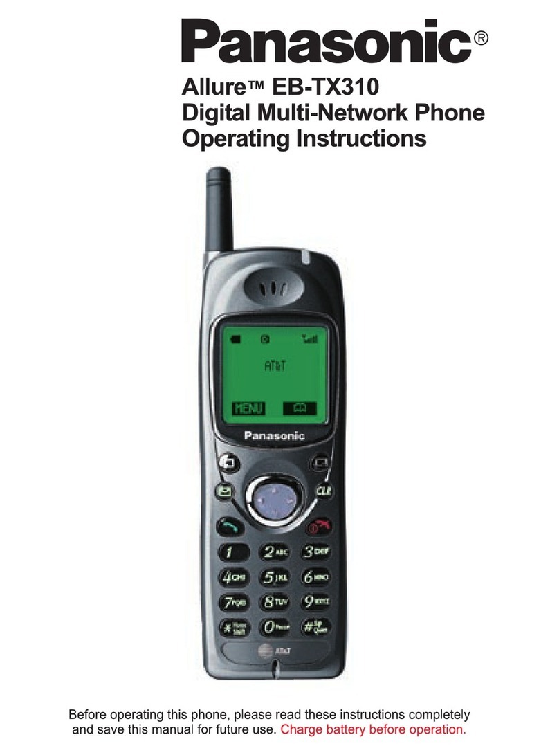 Panasonic Allure EB-TX310 operating instructions