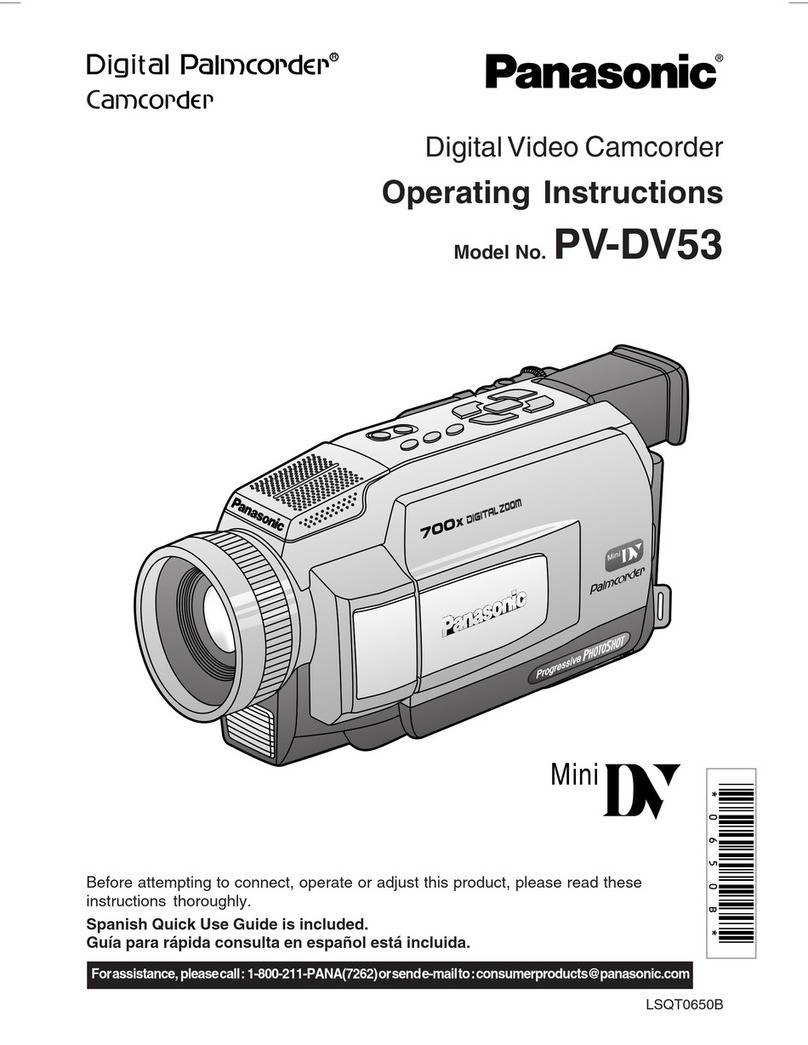 Panasonic Palmcorder PV-DV53 User manual
