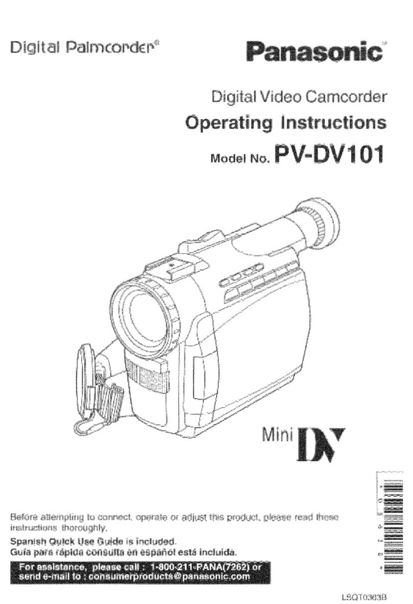 Panasonic Digital Palmcorder PV-DV101 User manual