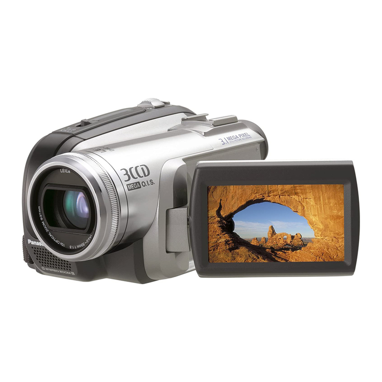 Panasonic Palmcorder PV-GS320 User manual