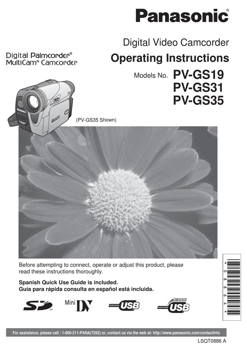 Panasonic Digital Paimcorder MultiCam PV-GS19 User manual