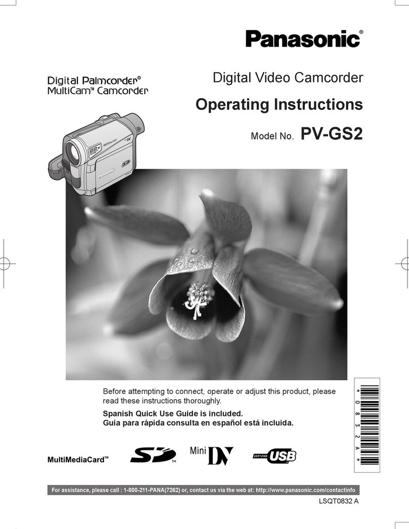 Panasonic Palmcorder MultiCam PV-GS2 User manual