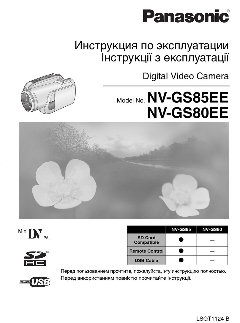 Panasonic NV-GS80EE User manual Panasonic NV-GS80EE User manual
