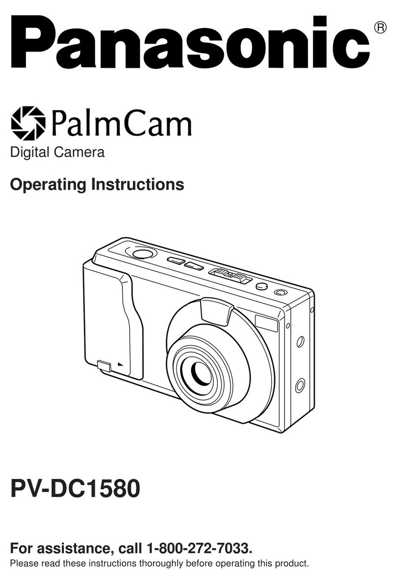Panasonic PalmCam PV-DC1580 User manual