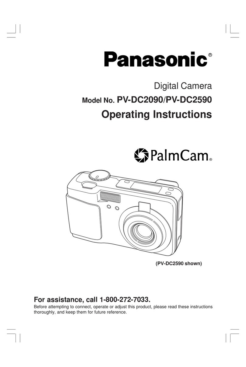 Panasonic PalmCam PV-DC2090 User manual