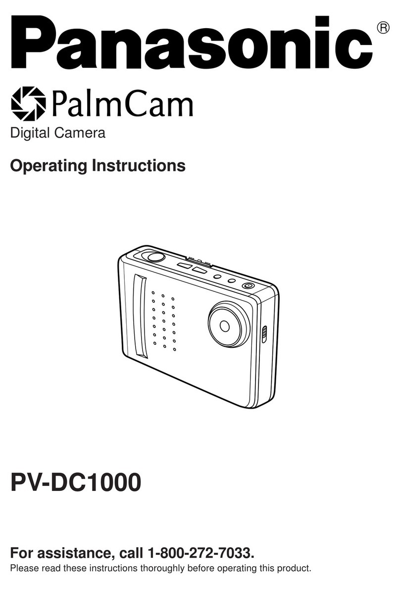 Panasonic PalmCam PV-DC1000 User manual
