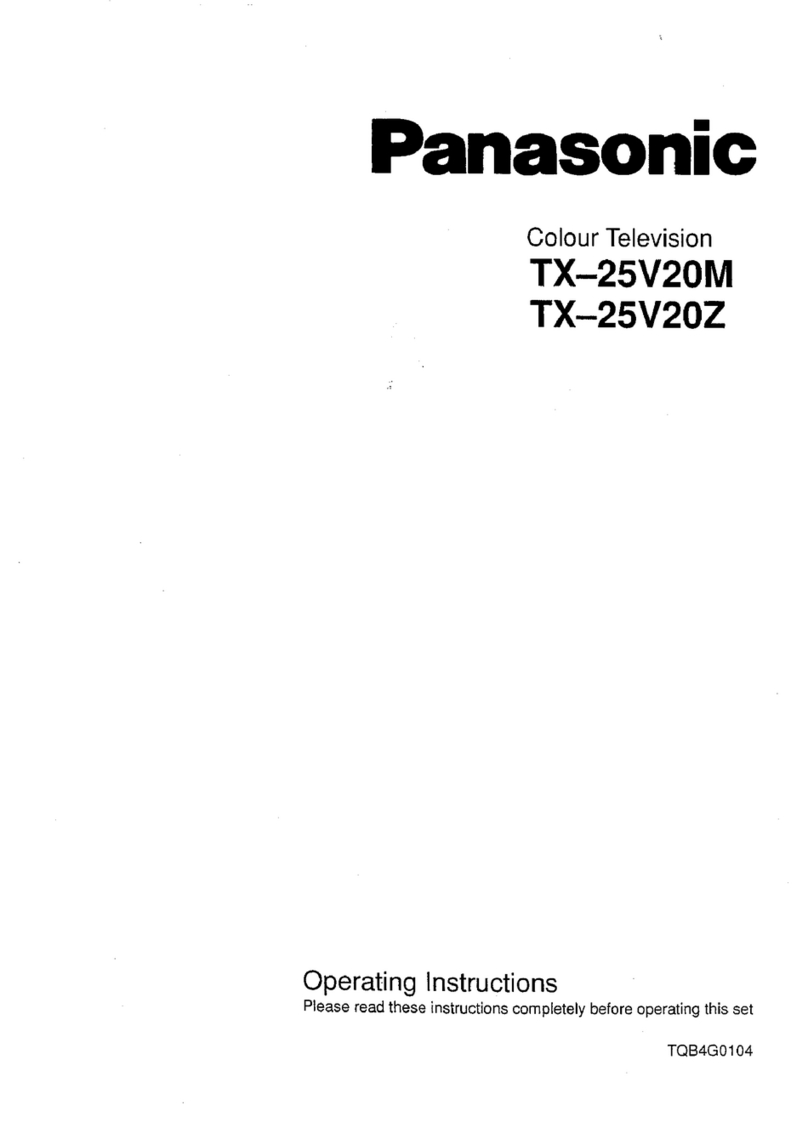 Panasonic TX-25V20M User manual