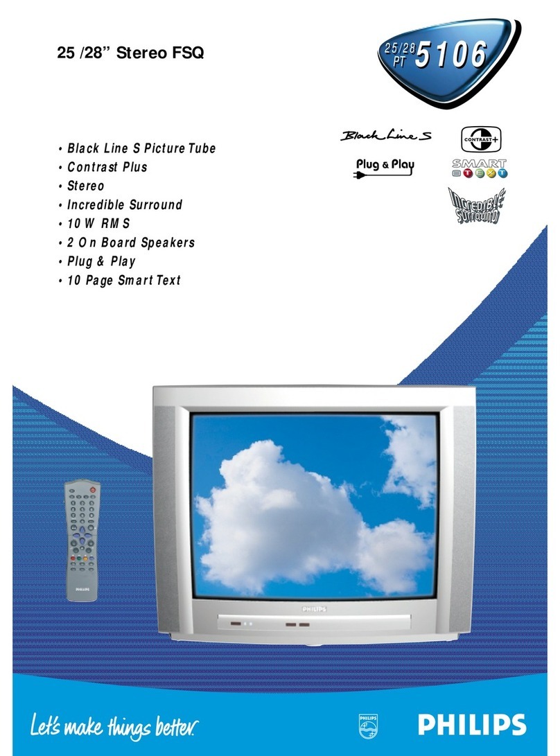 Philips 25/28PT5106 Specifications
