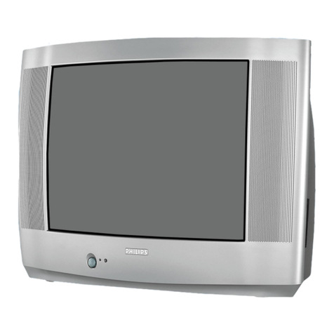 Philips 25PT5305 User manual