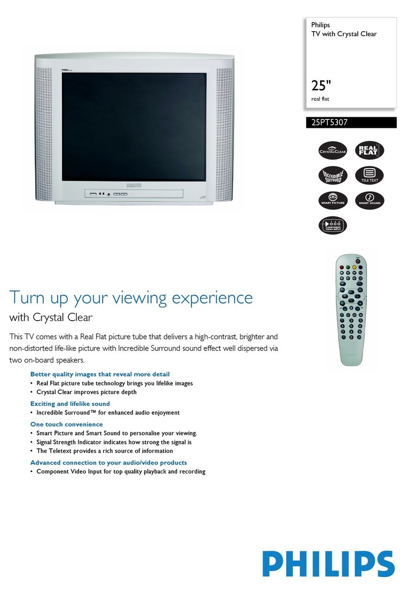 Philips 25PT5307 User manual