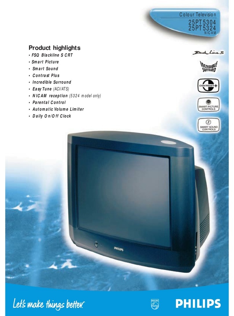 Philips 25PT5304 User manual