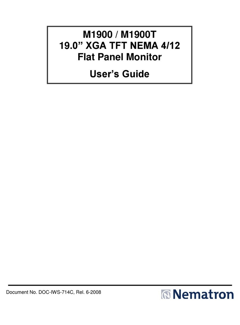 Nematron Nematron M1900 User manual
