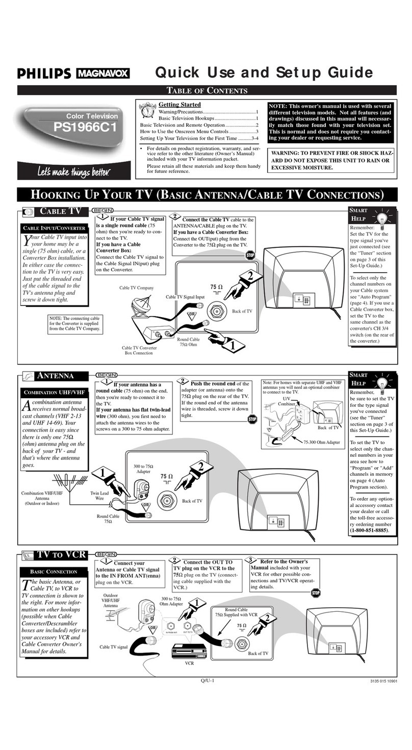 Philips MAGNAVOX PS1966C1 User manual