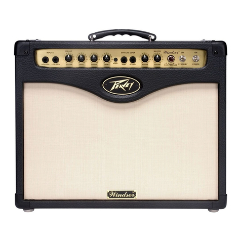Peavey Windsor WindsorTM Studio User manual
