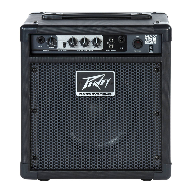 Peavey Ecoustic 112 User manual