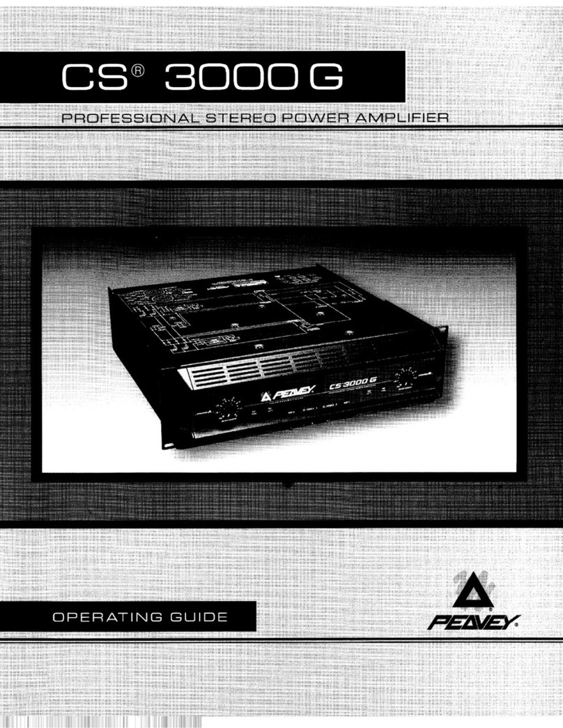 Peavey CS 3000G operating guide