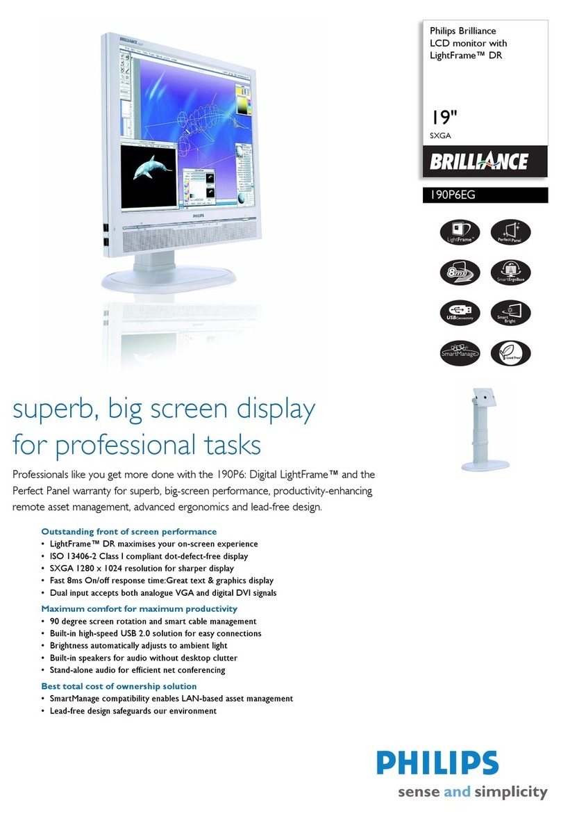 Philips Brilliance 190P6EG User manual