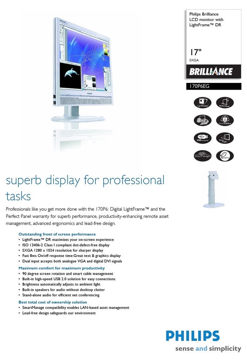 Philips Brilliance 170P6EG User manual