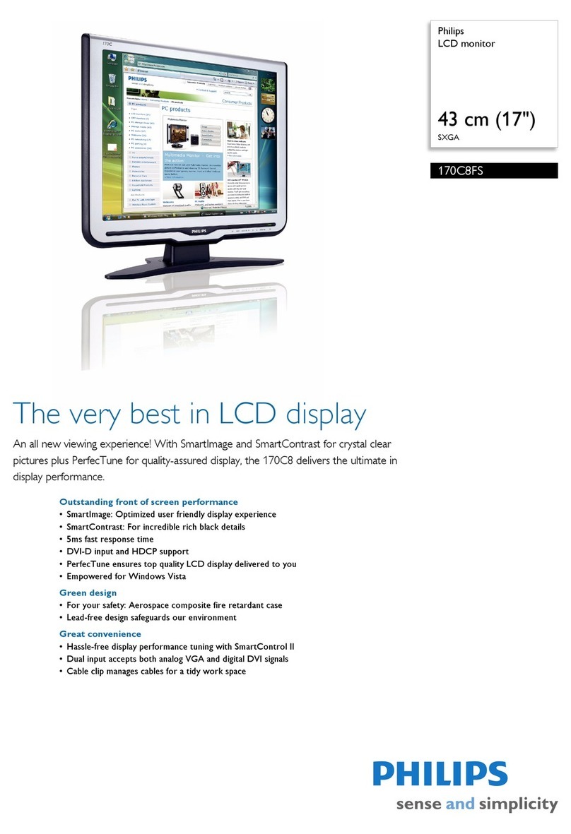 Philips 170C8FS User manual