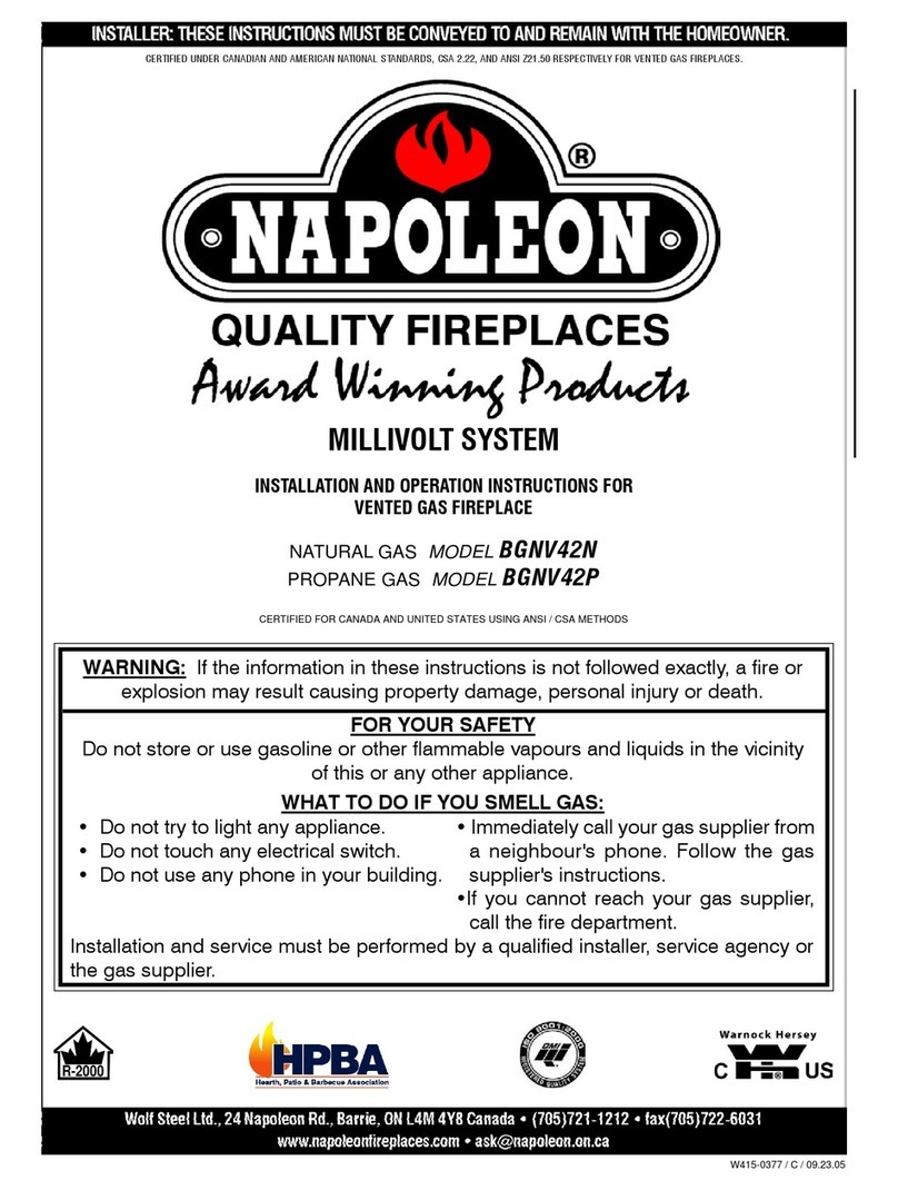 Napoleon BGNV42N User manual