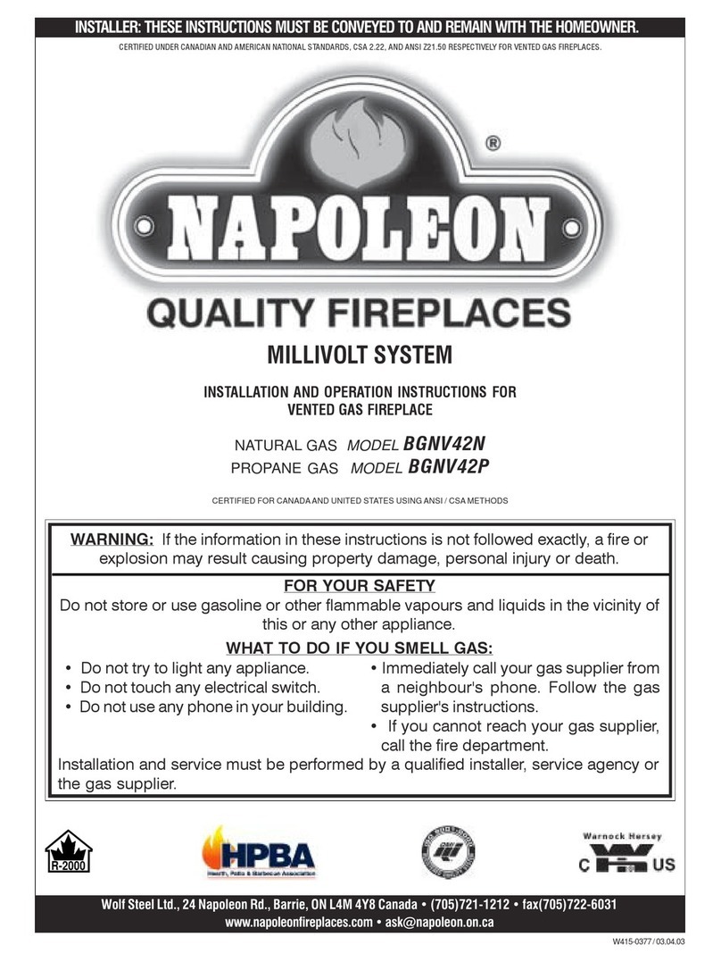 Napoleon BGNV42N User manual